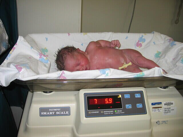 7 lbs 6 oz