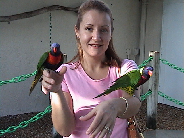 Bird in hand...