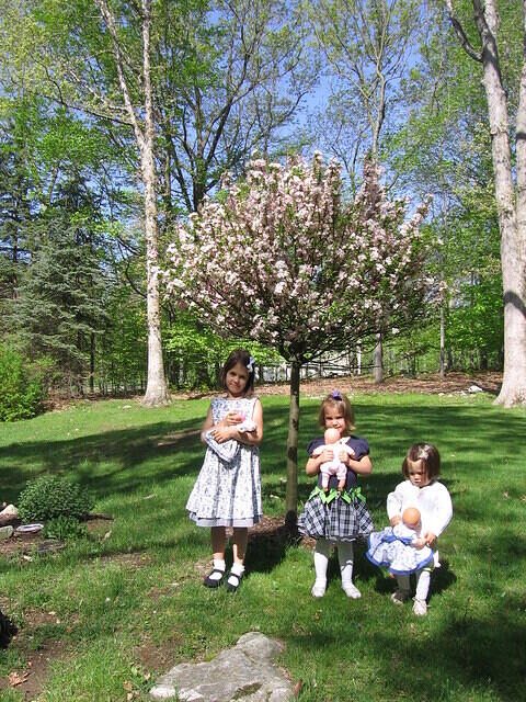 Early pics 006.JPG