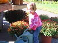 Highlights from Fall 2007