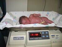 7 lbs 6 oz