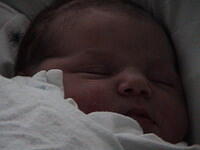 August 15, 2004