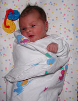 8 lbs, 10oz.  20 inches