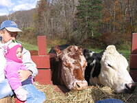 Dad Emily n Cows 1006a.JPG