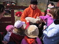 Petting Baby Lamb 1006.JPG