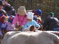 taylor feeds cows 1006a.JPG