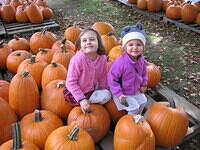 Pumpkin Time