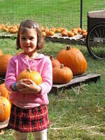 Taylor's pumpkin