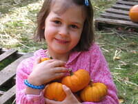 More pumpkins