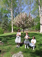 Early pics 006.JPG