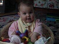 Basket o' Emily